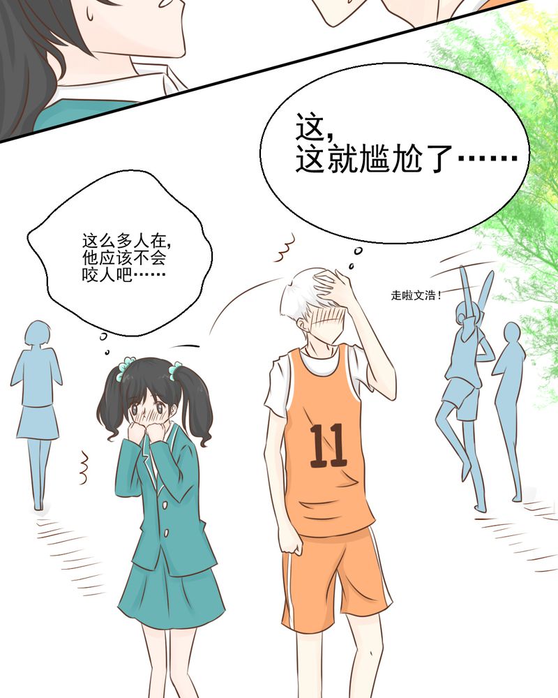 第40页